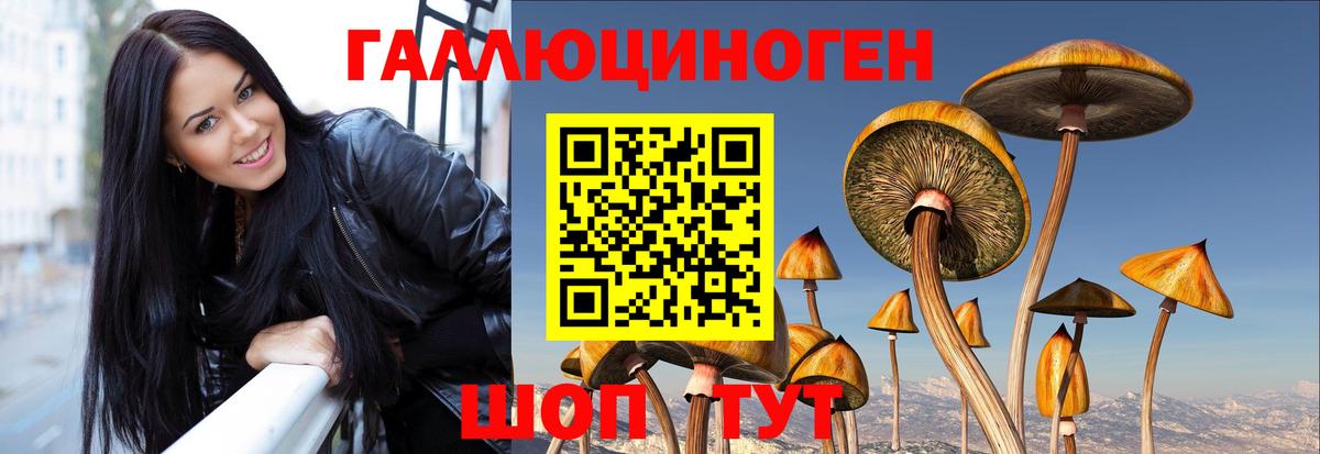 Псилоцибиновые грибы Psilocybe Алатырь