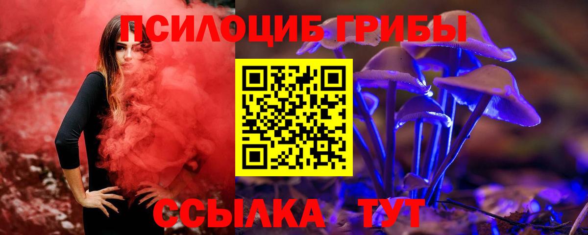 Псилоцибиновые грибы прущие грибы  закладка  Алатырь  Вход с VPN 